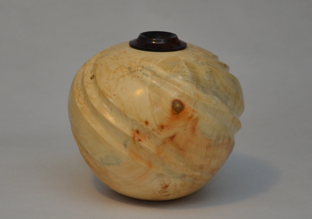 Box Elder Spiral Form
